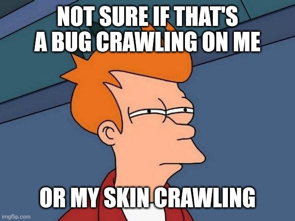 I swear they know I'm scared of them |  NOT SURE IF THAT'S A BUG CRAWLING ON ME; OR MY SKIN CRAWLING | image tagged in not sure if- fry,bugs,creepy,gross,grossed out,insects | made w/ Imgflip meme maker
