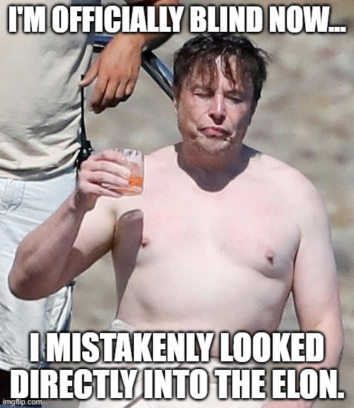 It must have been cold there |  I'M OFFICIALLY BLIND NOW... I MISTAKENLY LOOKED DIRECTLY INTO THE ELON. | image tagged in elon musk,shirtless,sun,too bright | made w/ Imgflip meme maker