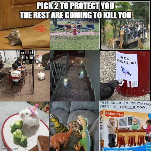 explanation of each one in comments | PICK 2 TO PROTECT YOU
THE REST ARE COMING TO KILL YOU | image tagged in 3x3 grid alignment meme,pick 2 | made w/ Imgflip meme maker