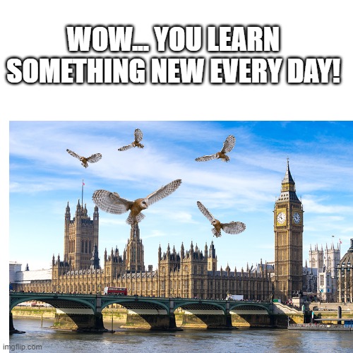 WOW... YOU LEARN SOMETHING NEW EVERY DAY! | made w/ Imgflip meme maker