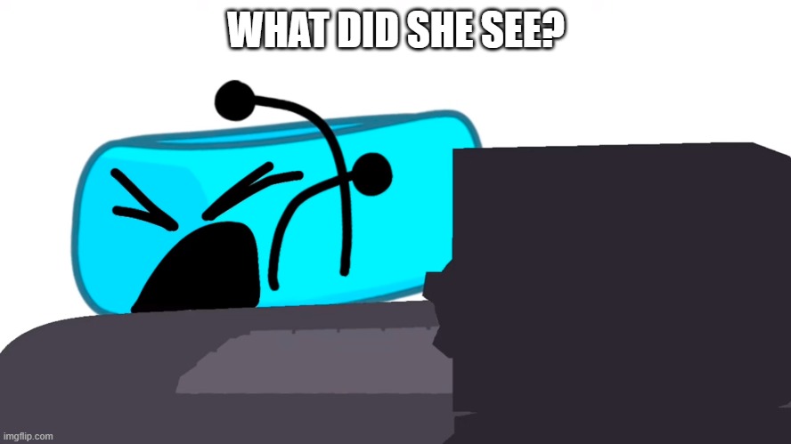 WHAT DID SHE SEE? | made w/ Imgflip meme maker