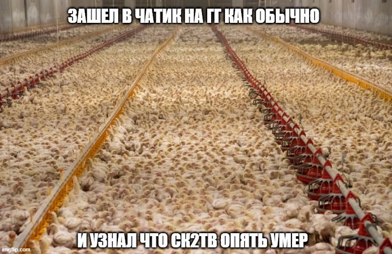 6n7aey.jpg