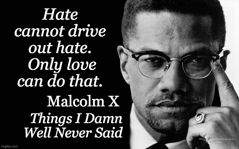 Malcolm x | Hate cannot drive out hate.  Only love can do that. Malcolm X Things I Damn Well Never Said | image tagged in malcolm x | made w/ Imgflip meme maker