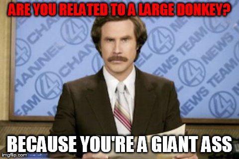 Ron Burgundy Meme | ARE YOU RELATED TO A LARGE DONKEY? BECAUSE YOU'RE A GIANT ASS | image tagged in memes,ron burgundy | made w/ Imgflip meme maker