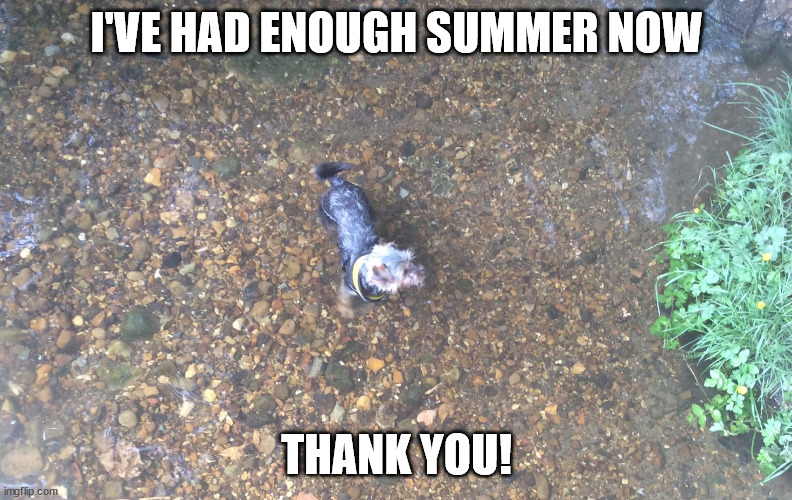 enough summer | I'VE HAD ENOUGH SUMMER NOW; THANK YOU! | image tagged in funny | made w/ Imgflip meme maker