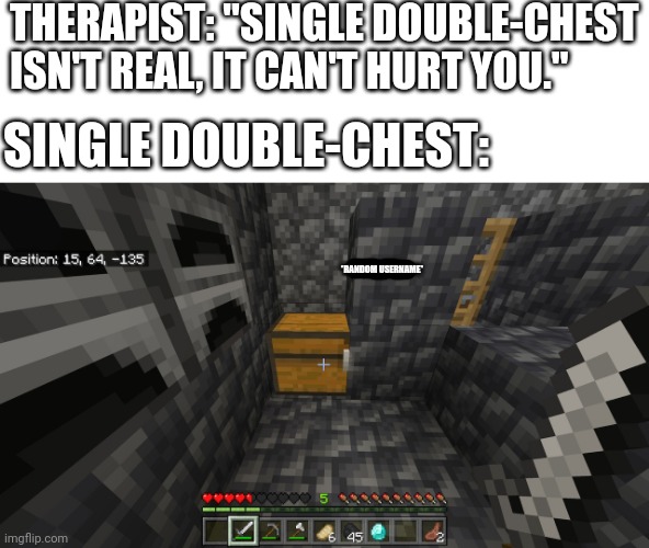 A glitch I found on a realms server | THERAPIST: "SINGLE DOUBLE-CHEST ISN'T REAL, IT CAN'T HURT YOU."; SINGLE DOUBLE-CHEST:; *RANDOM USERNAME* | image tagged in minecraft,glitch | made w/ Imgflip meme maker