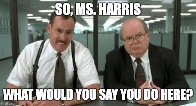 What is VP Harris' Job? | SO, MS. HARRIS; WHAT WOULD YOU SAY YOU DO HERE? | image tagged in kamala harris | made w/ Imgflip meme maker