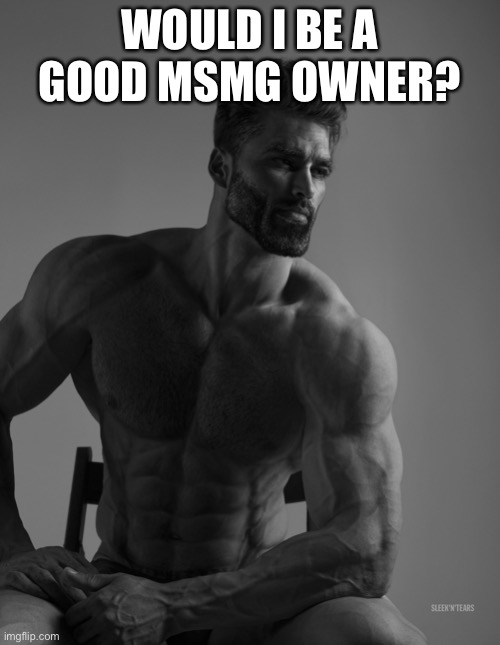 Giga Chad | WOULD I BE A GOOD MSMG OWNER? | image tagged in giga chad | made w/ Imgflip meme maker