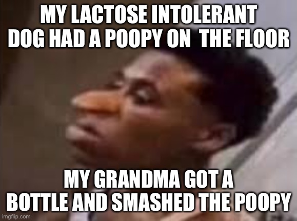 Qaundale Dingle | MY LACTOSE INTOLERANT DOG HAD A POOPY ON  THE FLOOR; MY GRANDMA GOT A BOTTLE AND SMASHED THE POOPY | image tagged in qaundale dingle | made w/ Imgflip meme maker