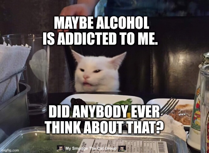 MAYBE ALCOHOL IS ADDICTED TO ME. DID ANYBODY EVER THINK ABOUT THAT? | image tagged in smudge the cat | made w/ Imgflip meme maker