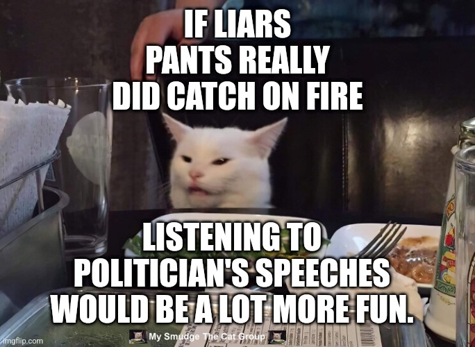 IF LIARS PANTS REALLY DID CATCH ON FIRE; LISTENING TO POLITICIAN'S SPEECHES WOULD BE A LOT MORE FUN. | image tagged in smudge the cat | made w/ Imgflip meme maker