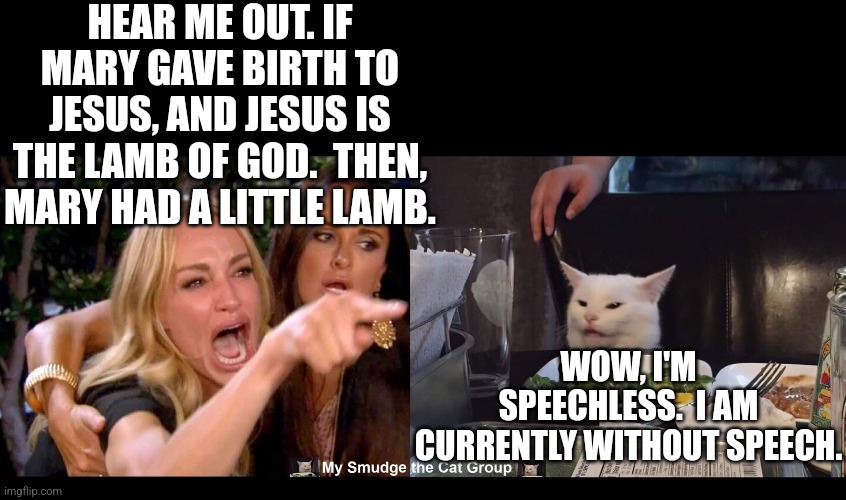 HEAR ME OUT. IF MARY GAVE BIRTH TO JESUS, AND JESUS IS THE LAMB OF GOD.  THEN, MARY HAD A LITTLE LAMB. WOW, I'M SPEECHLESS.  I AM CURRENTLY WITHOUT SPEECH. | image tagged in smudge the cat | made w/ Imgflip meme maker