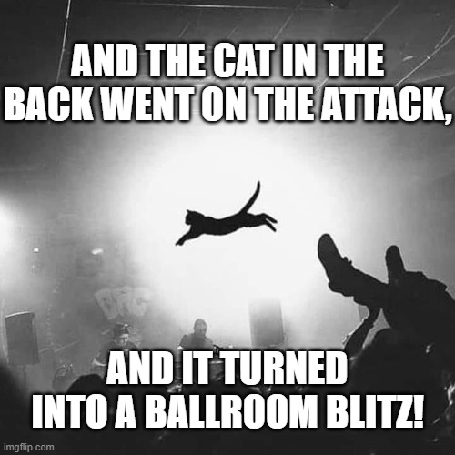 Cat Flying Concert | AND THE CAT IN THE BACK WENT ON THE ATTACK, AND IT TURNED INTO A BALLROOM BLITZ! | image tagged in cat flying concert,feline,fun,witty | made w/ Imgflip meme maker