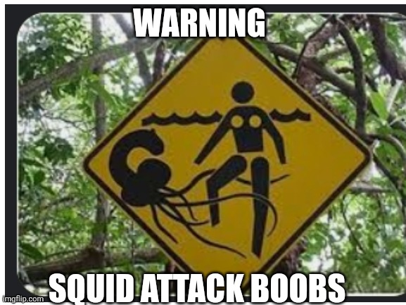 One job | WARNING; SQUID ATTACK BOOBS | image tagged in funny memes | made w/ Imgflip meme maker
