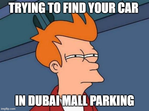parking | TRYING TO FIND YOUR CAR; IN DUBAI MALL PARKING | image tagged in memes,futurama fry | made w/ Imgflip meme maker