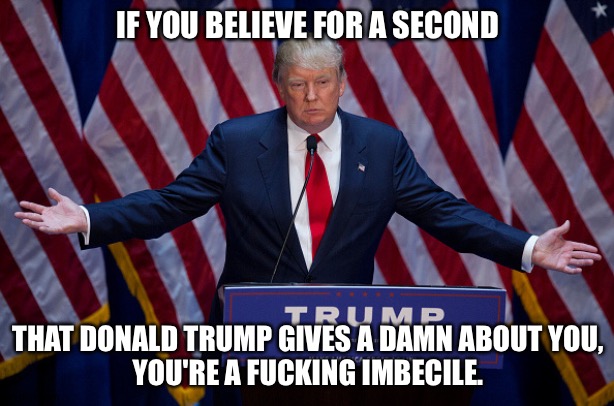 There, I said it.  Lick it up, TrumpTards.  LICK IT UP! | IF YOU BELIEVE FOR A SECOND; THAT DONALD TRUMP GIVES A DAMN ABOUT YOU,
YOU'RE A FUCKING IMBECILE. | image tagged in donald trump | made w/ Imgflip meme maker