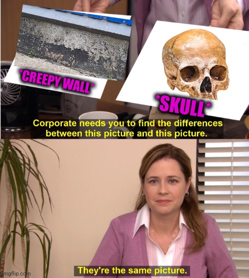-Mortality on second. | *CREEPY WALL*; *SKULL* | image tagged in memes,they're the same picture,idiot skull,bones,waiting skeleton,trump wall | made w/ Imgflip meme maker