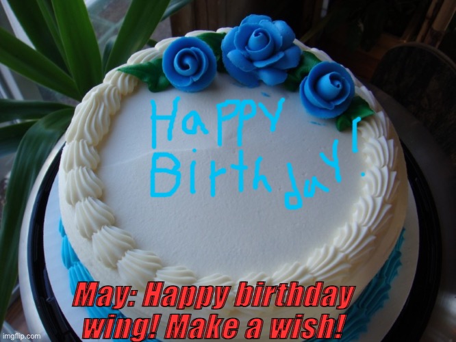 sorry cake | May: Happy birthday wing! Make a wish! | image tagged in sorry cake | made w/ Imgflip meme maker