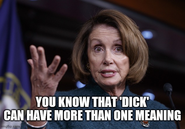 Good old Nancy Pelosi | YOU KNOW THAT 'DICK' CAN HAVE MORE THAN ONE MEANING | image tagged in good old nancy pelosi | made w/ Imgflip meme maker