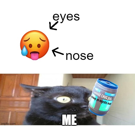 eyes; nose; ME | image tagged in blank white template | made w/ Imgflip meme maker