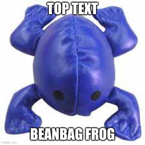 TOP TEXT; BEANBAG FROG | image tagged in frog | made w/ Imgflip meme maker