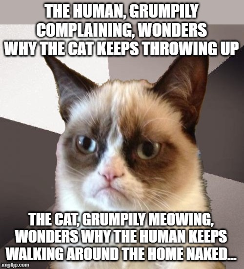 Cause And Effect |  THE HUMAN, GRUMPILY COMPLAINING, WONDERS WHY THE CAT KEEPS THROWING UP; THE CAT, GRUMPILY MEOWING, WONDERS WHY THE HUMAN KEEPS WALKING AROUND THE HOME NAKED... | image tagged in grumpy cat,cats,funny cats,memes,funny memes,humor | made w/ Imgflip meme maker