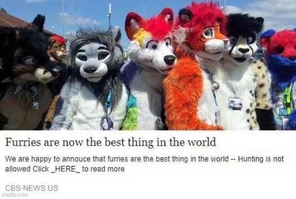 YES!! | image tagged in furry,memes | made w/ Imgflip meme maker