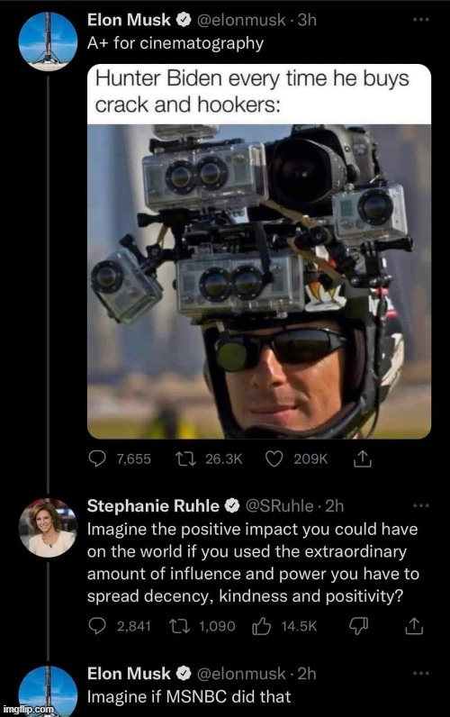 Oof | image tagged in elon musk,msnbc,hunter biden | made w/ Imgflip meme maker