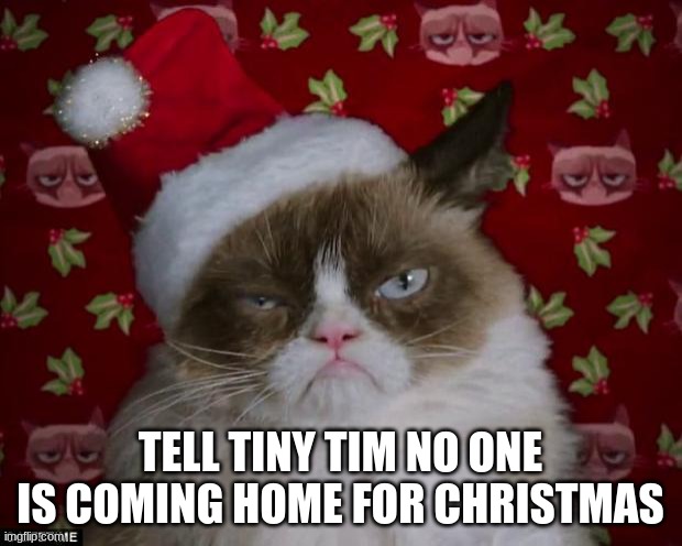Grumpy Cat Christmas | TELL TINY TIM NO ONE IS COMING HOME FOR CHRISTMAS | image tagged in grumpy cat christmas | made w/ Imgflip meme maker