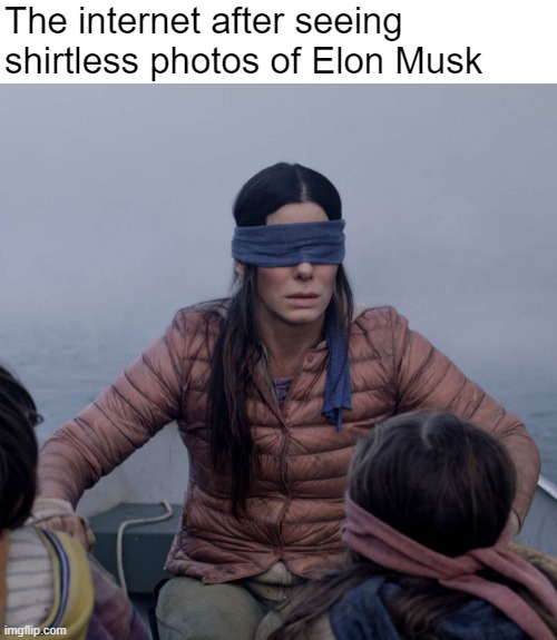 Blinded by the white | The internet after seeing shirtless photos of Elon Musk | image tagged in memes,bird box | made w/ Imgflip meme maker