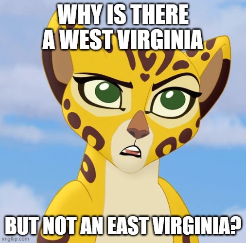 East Virginia | WHY IS THERE A WEST VIRGINIA; BUT NOT AN EAST VIRGINIA? | image tagged in confused fuli,the lion guard,west virginia,mountain mama,take me home,country roads | made w/ Imgflip meme maker