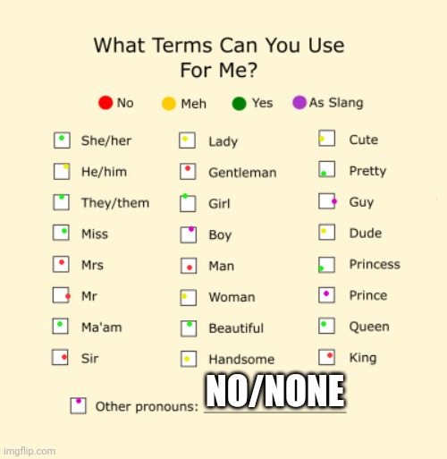 My terms. (No, I don't mind if you call me a boy.) | NO/NONE | image tagged in pronouns sheet,never gonna give you up,never gonna let you down,never gonna run around,and desert you | made w/ Imgflip meme maker
