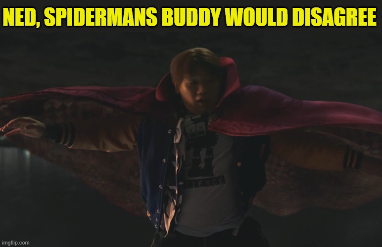 NED, SPIDERMANS BUDDY WOULD DISAGREE | made w/ Imgflip meme maker