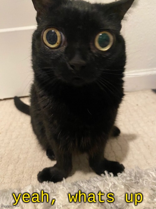 Jinx <3 | yeah, whats up | image tagged in jinx 3 | made w/ Imgflip meme maker