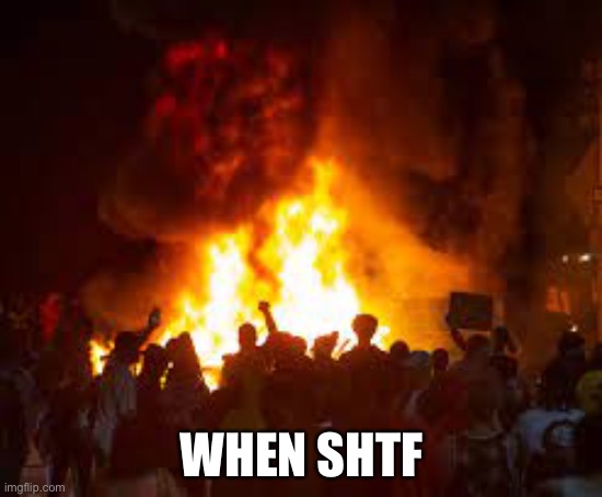 WHEN SHTF | made w/ Imgflip meme maker