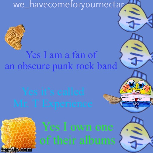 Yes, my mom owns another. | Yes I am a fan of an obscure punk rock band; Yes it’s called Mr. T Experience; Yes I own one of their albums | image tagged in we_havecomeforyournectar s template thanks to stansmith69420,yes her album is the first album by them | made w/ Imgflip meme maker