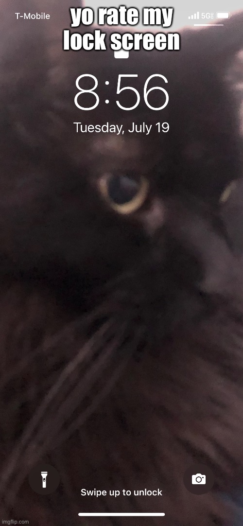It’s literally just my cat | yo rate my lock screen | made w/ Imgflip meme maker