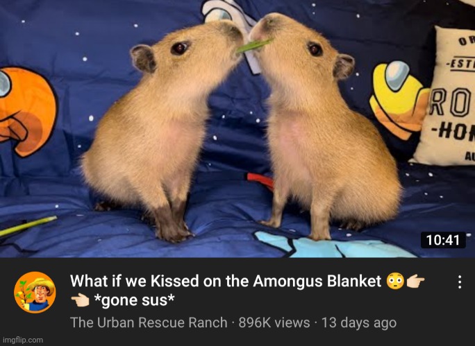 What If we kissed on the among us blanket... | image tagged in memes,among us,capybara | made w/ Imgflip meme maker