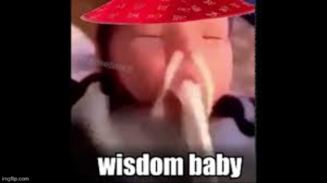 image tagged in wisdom baby | made w/ Imgflip meme maker