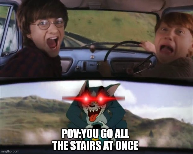 Tom chasing Harry and Ron Weasly | POV:YOU GO ALL THE STAIRS AT ONCE | image tagged in tom chasing harry and ron weasly | made w/ Imgflip meme maker