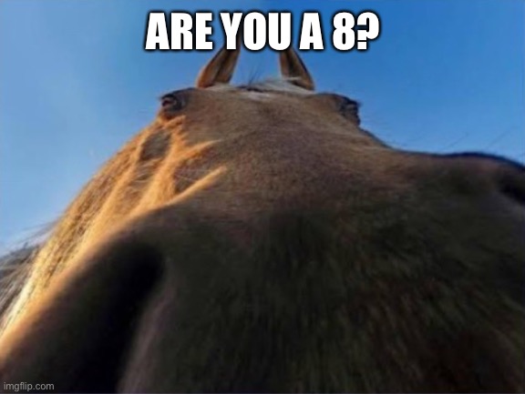 Are you a grass | ARE YOU A 8? | image tagged in are you a grass | made w/ Imgflip meme maker