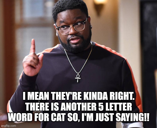 I MEAN THEY'RE KINDA RIGHT. THERE IS ANOTHER 5 LETTER WORD FOR CAT SO, I'M JUST SAYING!! | image tagged in i'm just saying | made w/ Imgflip meme maker