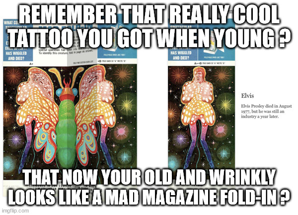 Cool new Tattoo | REMEMBER THAT REALLY COOL TATTOO YOU GOT WHEN YOUNG ? THAT NOW YOUR OLD AND WRINKLY LOOKS LIKE A MAD MAGAZINE FOLD-IN ? | image tagged in funny memes | made w/ Imgflip meme maker