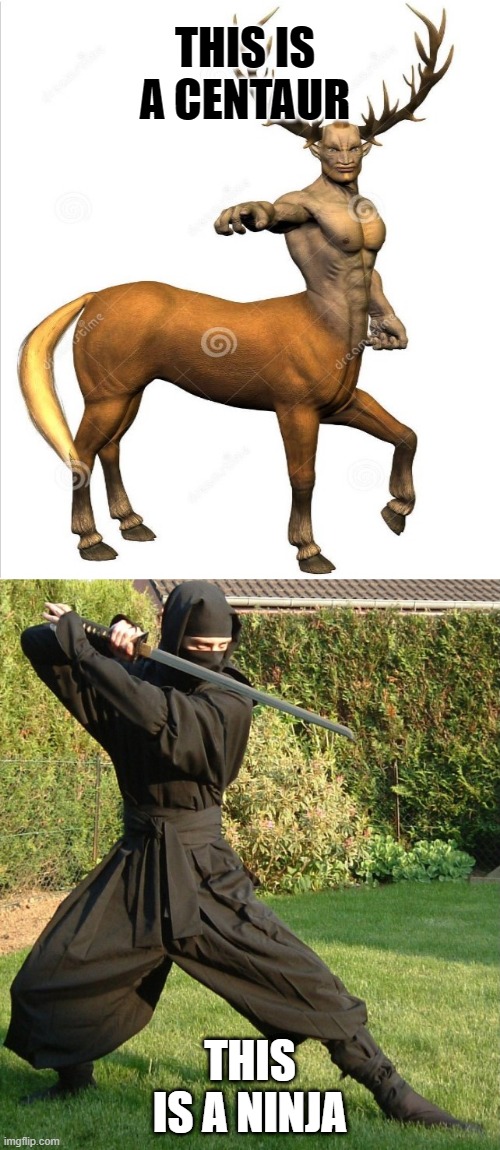 What kind of variant is in your system? | THIS IS A CENTAUR; THIS IS A NINJA | image tagged in virus,centaur,ninja | made w/ Imgflip meme maker