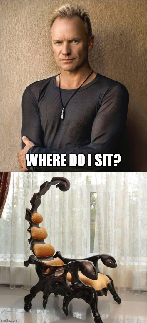 Sting | WHERE DO I SIT? | image tagged in sting | made w/ Imgflip meme maker