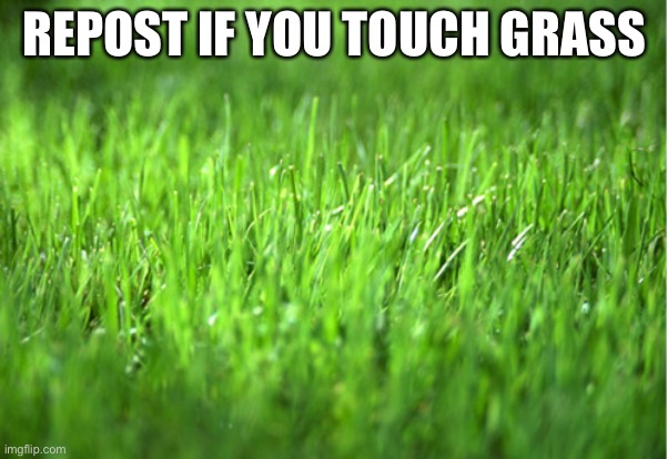 grass is greener | REPOST IF YOU TOUCH GRASS | image tagged in grass is greener | made w/ Imgflip meme maker