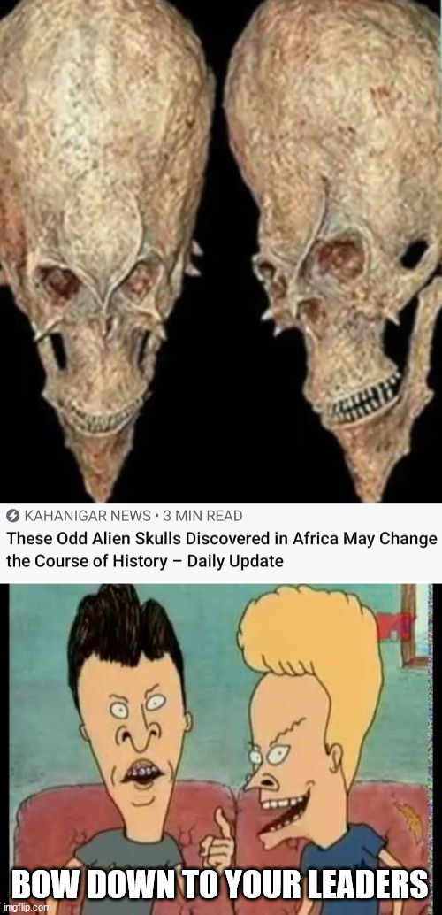 Aliens look like Beavis and Butthead | BOW DOWN TO YOUR LEADERS | image tagged in beavis butt-head he said,totally looks like | made w/ Imgflip meme maker