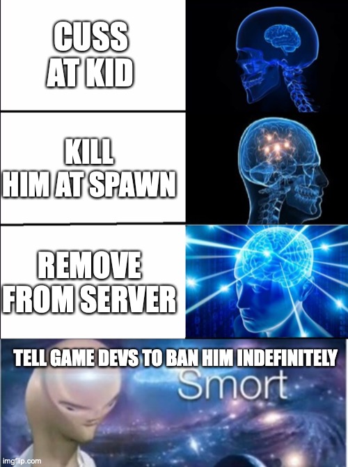 CUSS AT KID KILL HIM AT SPAWN REMOVE FROM SERVER TELL GAME DEVS TO BAN HIM INDEFINITELY | image tagged in galaxy brain 3 brains,meme man smort | made w/ Imgflip meme maker