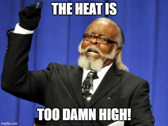 Too Damn High |  THE HEAT IS; TOO DAMN HIGH! | image tagged in memes,too damn high | made w/ Imgflip meme maker