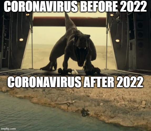 Bye bye COVID | CORONAVIRUS BEFORE 2022; CORONAVIRUS AFTER 2022 | image tagged in ghost before and after,coronavirus,covid-19,2022 | made w/ Imgflip meme maker